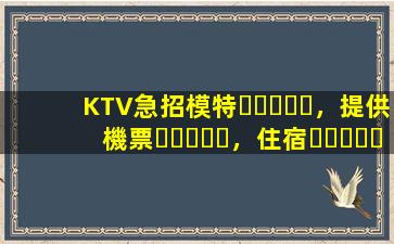 KTV急招模特，提供機票，住宿，日結